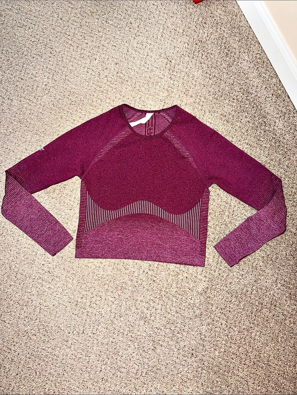Fabletics Long Sleeve cropped Athletic Top in Purple Size Small Like New